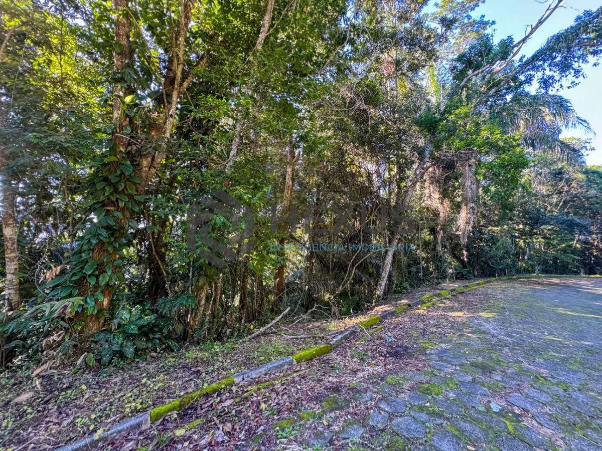 Foto 4 de Terreno com vista mar no Morro Sorocotuba na Enseada, Guarujá
